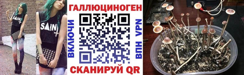 Псилоцибиновые грибы Magic Shrooms  Аксай 